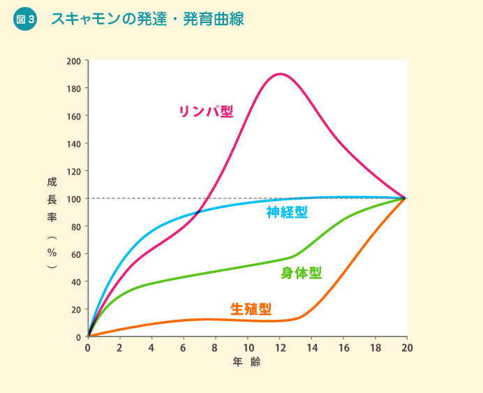 図3 スキャモンの発達・発育曲線